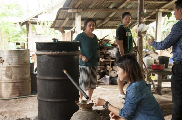 1 Day Mahout training, Caves, Village and Kuang Si Falls
