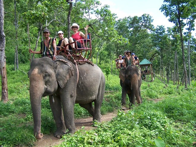 Elephant riding, Pak Ou Caves, Kuang SI Falls