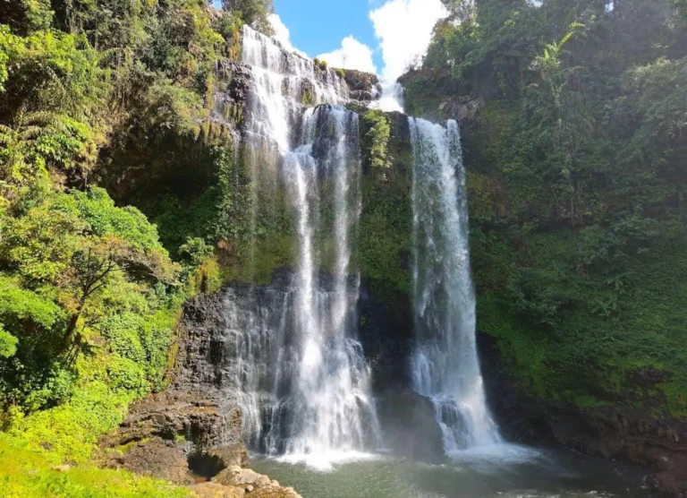Pakse: Visit Bolaven Plateau+Tad Fane & Tad Yuang Waterfalls